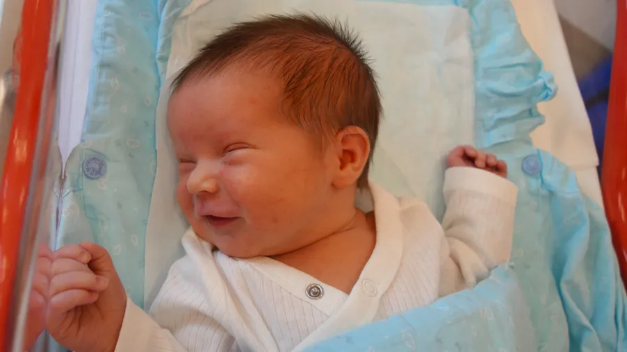 Dominik